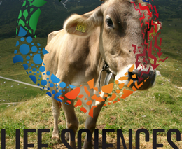 Filmový festival ČZU je záslužný počin