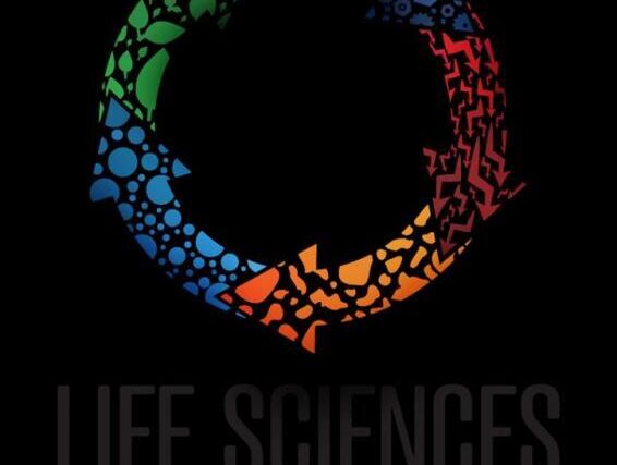 Asociace partnerem i soutěžícím na filmovém festivalu 