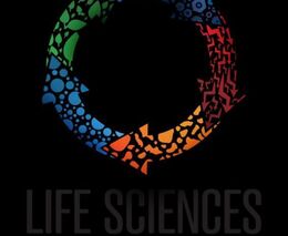 Asociace partnerem i soutěžícím na filmovém festivalu 