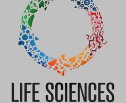 Co nabídne letošní ročník filmového festivalu na ČZU? 