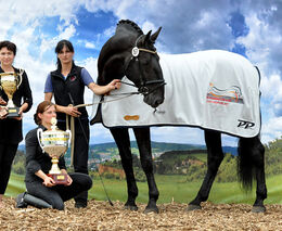 Hledáme Nejkrásnějšího koně 2016!