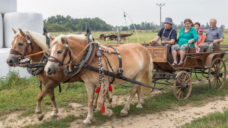 Příběh rodu Sotonů: Násilná kolektivizace ani vězení je nezlomilo, o půdu se stará už 25. generace