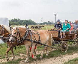 Příběh rodu Sotonů: Násilná kolektivizace ani vězení je nezlomilo, o půdu se stará už 25. generace
