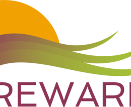 Webová stránka a sociální sítě projektu REWARD