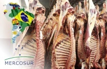 Německá ministryně odmítá dohodu s Mercosurem