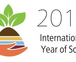 Proč slavit Mezinárodní rok půdy?