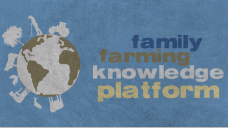 Spolupráce Asociace s Organizací OSN pro výživu a zemědělství (FAO)