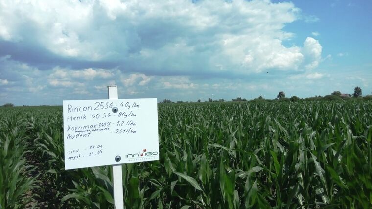 S INNVIGEM druhý rok a ještě výhodněji