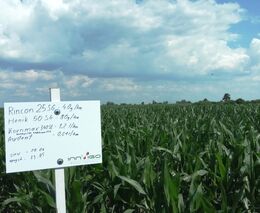 S INNVIGEM druhý rok a ještě výhodněji