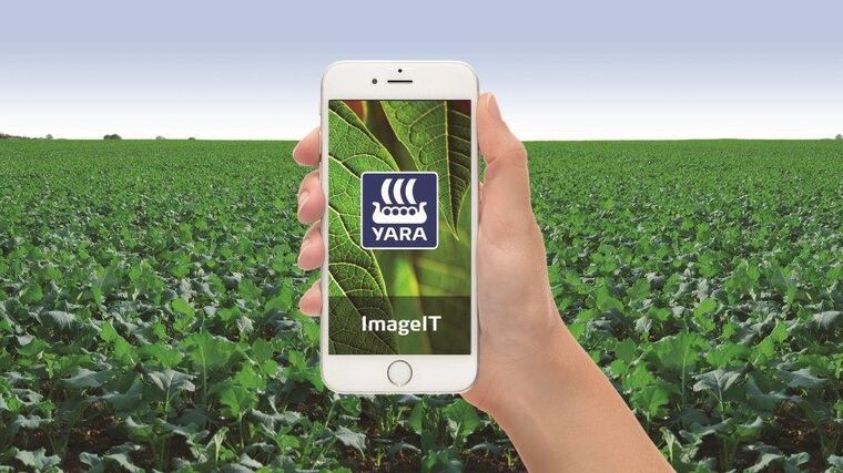 Jednoduché doporučení jarní dávky dusíku pro řepku pomocí mobilní aplikace zdarma