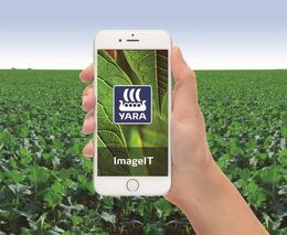 Jednoduché doporučení jarní dávky dusíku pro řepku pomocí mobilní aplikace zdarma