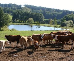 Týden podle PH č. 43 - 2021 (pH týdne: 7)