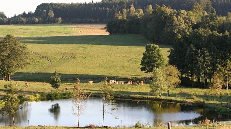 Farma Domašín - stříbrná medaile v programu Pestrá krajina 2019