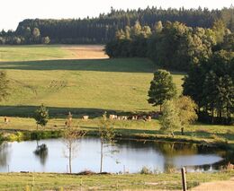 Farma Domašín - stříbrná medaile v programu Pestrá krajina 2019