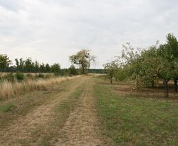 Mišákovi - bronzoví medailisté v Pestré krajině 2018