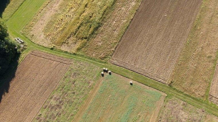 Farma Marka Daňhela - stříbrná medaile v programu ASZ ČR Pestrá krajina 2020