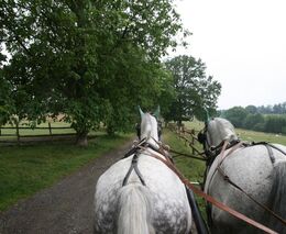 Farma Prak - třetí zlatá medaile v programu Pestrá krajina 2019