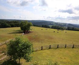 Dotační kyvadlo se vychýlilo k velkým podnikům, vrátíme jej zpět, řekl ministr