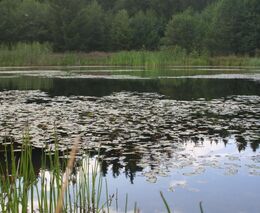 Farma rodiny Kuncovy - stříbrná medaile v programu Pestrá krajina 2018