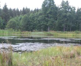 Online seminář „Jak na živou a zdravou krajinu“