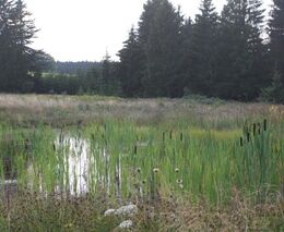 Pozvánka na seminář nejen o suchu