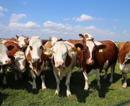 Sotonovi - stříbrní medailisté v Pestré krajině 2018