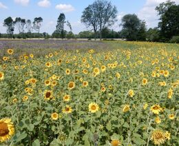 Farma Tláskal - další stříbrná medaile v programu Pestrá krajina