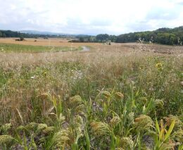 Jarní práce mají kvůli zimě zpoždění