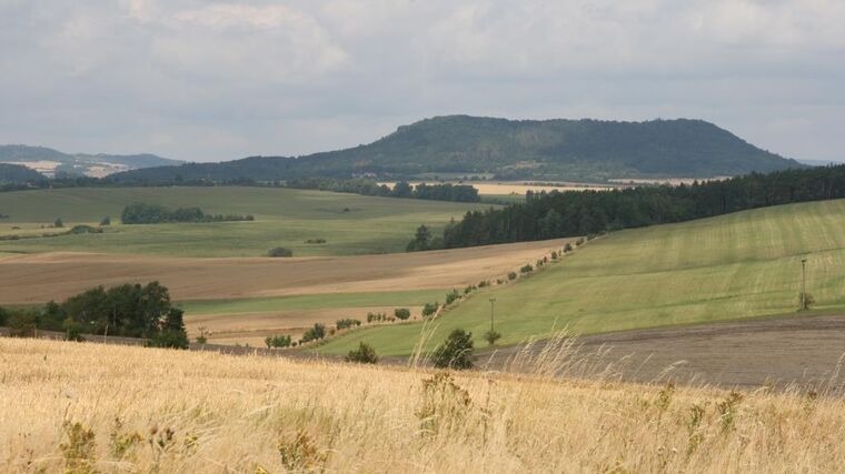 O polovinu méně pesticidů a čtvrtina zemědělství BIO, plánuje Brusel