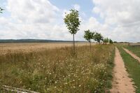 Farma U Hrušků - držitel zlaté medaile v programu Pestrá krajina