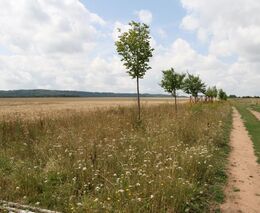 Ztrácíme půdu pod nohama: jak zemědělství proměňuje klima a naši krajinu?