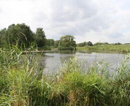 Farma U Hrušků - držitel zlaté medaile v programu Pestrá krajina