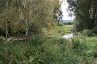Farma U Hrušků - držitel zlaté medaile v programu Pestrá krajina