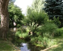 Konference Pestrá krajina bude online