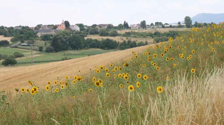 Týden v zemědělství podle Petra Havla - č. 18