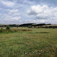 Dvě třetiny Čechů chtějí státní podporu pro šetrné zemědělství