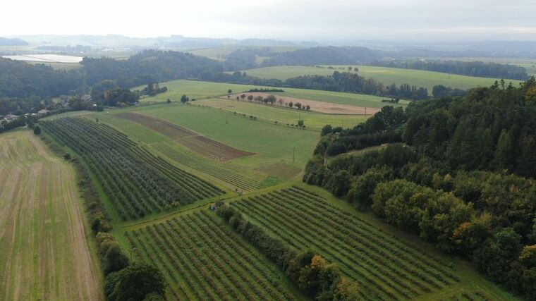 Prezentace z konference Pestrá krajina 2020