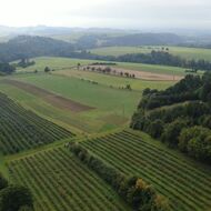 Nový film České společnosti ornitologické představuje zemědělce, kteří ozdravují krajinu