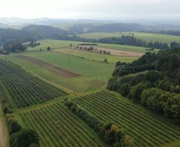 Zásadní připomínky ASZ ČR k nastavení ekoschémat 2023