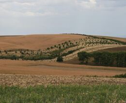 Velký úspěch člena ASZ Hodonín Petra Marady v mezinárodní soutěži