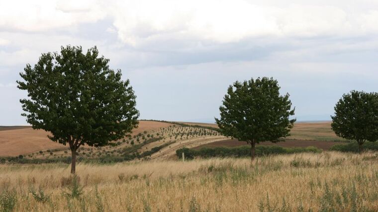 Nepěstuju kukuřici pro bioplynky. Mou plodinou je zdravá a zelená krajina, říká Petr Marada