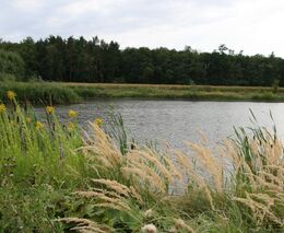 Vrací krajině životně důležité orgány. Zemědělec si postavil živnost na mezích a mokřadech