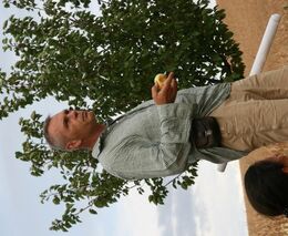 Jihomoravský kraj: Z dotací buduje tůně a sází stromy