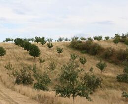 První ročník Ceny za krajinu: zvítězila mozaika Moravského Toskánska
