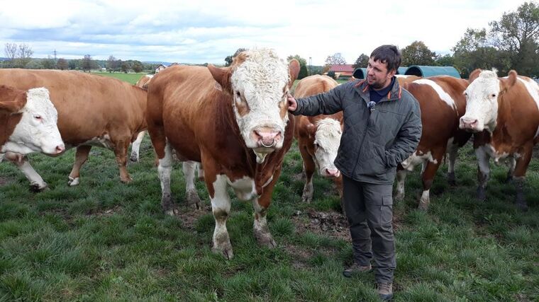 Další zlatý medailista v programu ASZ ČR Pestrá krajina 2020 - Rodinná farma Placandů