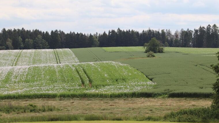 Méně papírů a více odborníků. Farmáři potřebují lepší podmínky pro rozvoj moderního zemědělství