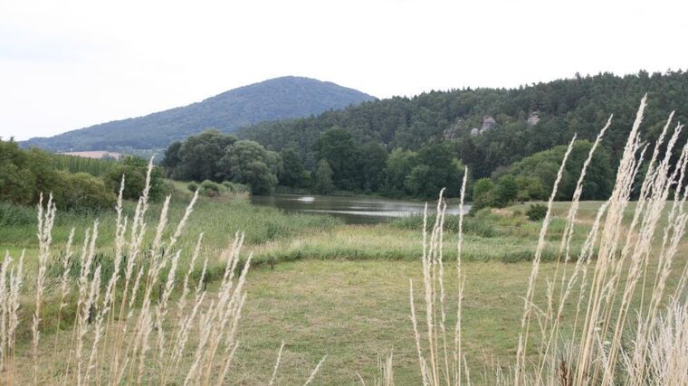 Principiálně se vymezovat vůči zelené politice není správné