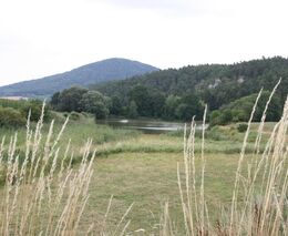 Principiálně se vymezovat vůči zelené politice není správné