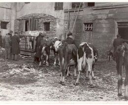 Příběhy 20. století: Otce sebrali přímo na poli, vzpomíná syn kulaka