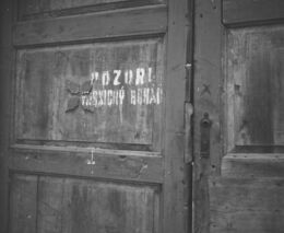 Destrukce Ústavu pro studium totalitních režimů? Zločiny nacismu a komunismu nesmí být zapomenuty